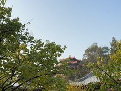 -宫事颐庭·老佛爷贵寿下午茶(颐和园店)