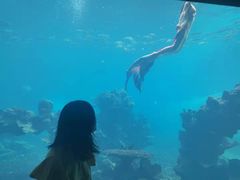 -海棠湾洲际-涛·海底餐厅·美人鱼·自助餐·海底隧道