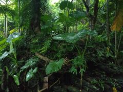 -七仙岭温泉国家森林公园