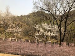 -黄土店站