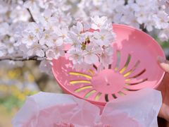 -王興記(中山路店)