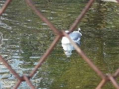 -祥源·阜阳生态乐园