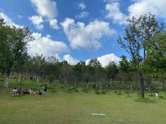 -牛岗山公园