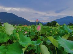 -罗坑大草原