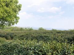 -南京市江宁方山