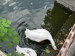 -苏州碑刻博物馆