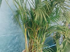 -CIAO·团建聚餐·生日派对轰趴馆(福田店)