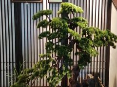 -溪畔•新徽菜(碧湖云溪店)