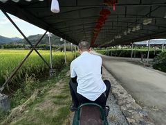 -福建土楼（华安）旅游区•大地土楼群