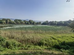 -上海市保健医疗中心