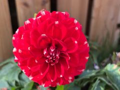 -上海植物园-4号门售票处