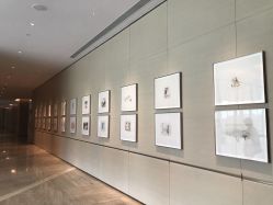 -首都机场东海康得思酒店婚宴·宴会厅·宝宝宴·生日宴