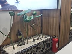 -辣盆盆麻辣小龙虾(哈尔滨总店)