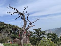 -华山风景名胜区