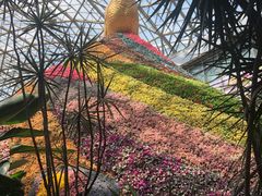 -花之城