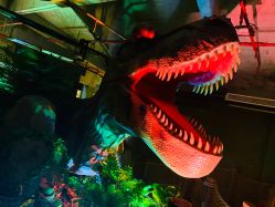 -恐龙探索乐园(磁器口店)