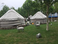 -九十九顶毡房(阜石路店)