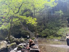 -石台牯牛降景区