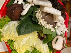 -额尔敦传统涮(公园西路店)