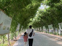 -米果果小镇