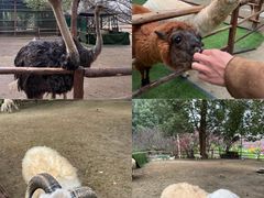 -秀丽东方