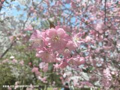 -幕燕滨江·长江观音景区