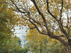 -复旦大学附属华山医院(总院)