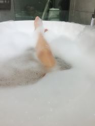 -栖白联诊 皮肤分层管理