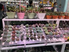 -KKV(深圳宏发大仟里店)