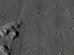 -乡村基(双桥家乐福店)