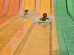 -重庆海昌加勒比海水世界