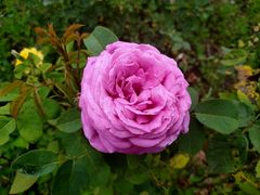 -镇坪县曙坪小学