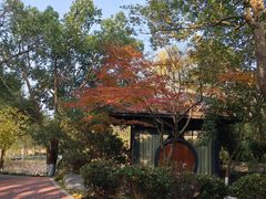 -金鸡湖桃花岛