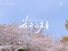 -上海滨江森林公园