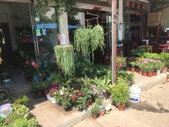 -合肥市裕丰花鸟虫鱼市场-F区
