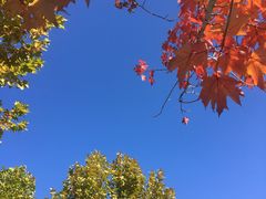 -中国科学院大学雁栖湖校区国际会议中心