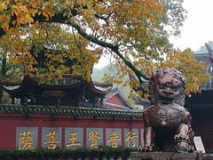 -峨眉山报国寺