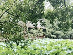 -成都武侯祠博物馆