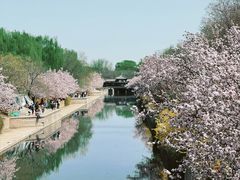 -海棠花溪(元大都城垣遗址公园)