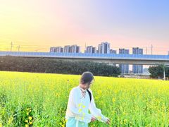 -光明小镇欢乐田园