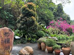 -深圳仙湖植物园