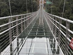 -九龙江国家森林公园