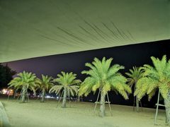 -演武大桥观景平台