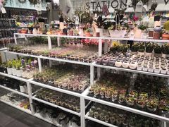 -KKV(深圳宏发大仟里店)