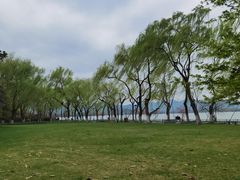 -柳浪闻莺公园