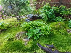 -上海植物园-4号门售票处