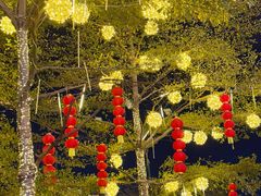 -中骏世界城(泉州店)