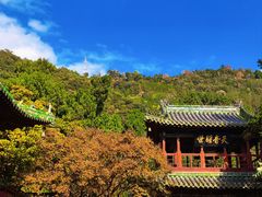 -报恩寺(平武县)