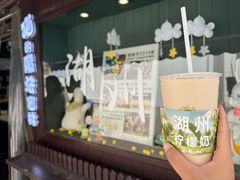 -猫的魔法密林(衣裳街店)