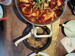 -菌自由丨野生菌火锅特色庭院餐厅(丽江古城店)